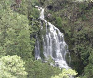 La Zona Núcleo es refugio principal de la fauna nativa y bellas cascadas.