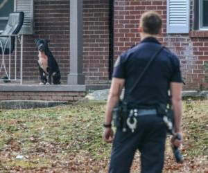 Uno de los dos perros fue atacado a disparos por la Policía (Fotos: Agencias/AP / EL HERALDO Honduras / Noticias EL HERALDO)