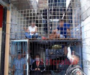 “La bestia” La aterradora celda de castigo en el Centro Penitenciario Nacional de Támara. Foto: El Heraldo