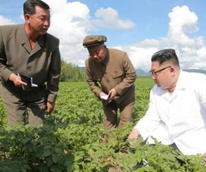 Kim Jong Un elogió a los funcionarios del condado, que queda cerca del Monte Paektu, sitio sagrado para los coreanos. Foto: AFP