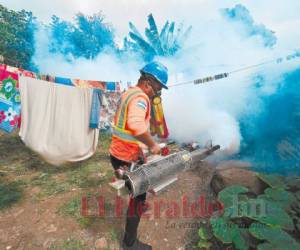 Jóvenes y adultos participaron en las diversas actividades para combatir el dengue a nivel nacional.