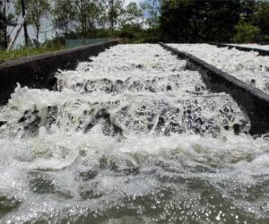 En la actualidad el suministro de agua se lleva a cabo cada tres días en la mayoría de colonias de Tegucigalpa y Comayagüela, foto: El Heraldo.