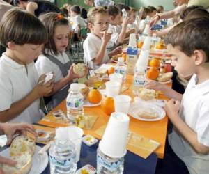 Otra de las indicaciones del especialista es incluir alimentos que en poco volumen aporten mucha energía y variedad de nutrientes.