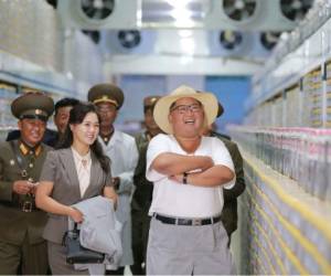 Se sabe que Kim Jong Un viaja en avión dentro de Corea del Norte y se dice que acompañó a su padre en 2011 en tren en un viaje a China. Agencia AFP