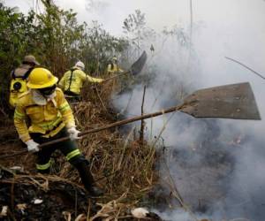 Bomberos combaten las llamas a un costado de un camino en el Bosque Nacional Jacunda, cerca de la ciudad de Porto Velho, en la región de Vila Nova que pertenece a la Amazonia Brasileña. Foto/AP.