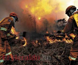 Un incendio de grandes proporciones se registró entre la Sagastume y El Hatillo (en la capital de Honduras) que consumió 200 hectáreas. Fotos: EL HERALDO.