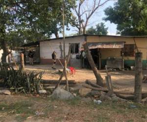 Esta es la casa loca encontrada por las autoridades en un sector del barrio Chamelecón, zona norte de Honduras.