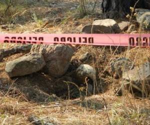 El hallazgo se produjo cuando un ingeniero agrónomo hacia una inspección de bosque de pino y tropezó con los restos.