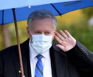 'Es un virus contagioso como la gripe', dijo Meadows. Foto: AFP