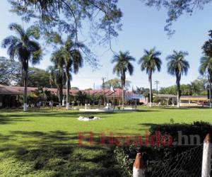 Universidad Nacional de Agricultura Catacamas