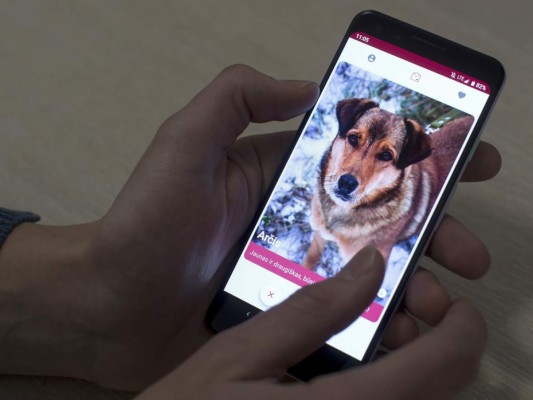 Fotografía del jueves 31 de enero de 2019 de un hombre usando una nueva aplicación que ayuda a las personas a encontrar perros en adopción y disponibles en refugios en Vilna, Lituania. (Foto AP / Mindaugas Kulbis).