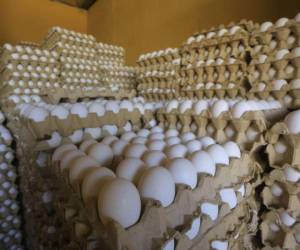 En la última semana, los huevos bajaron cuatro lempiras, según reportes de monitoreo y autoridades de Protección al Consumidor.