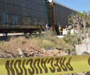 Tras la golpiza, el hombre se desvaneció y cayó del tren, según revelo una de sus familiares. Foto: El Heraldo Delicias.