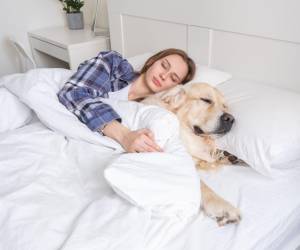 Si acostumbra dormir con su perro, seguro aprovecha los beneficios, pero debe poner atención a las consideraciones.
