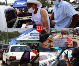 Este miércoles inició el proceso de vacunación de adultos mayores de 75 años, por autoservicio. Campo Parada Marte y UTH son dos de los lugares habilitados por la Secretaría de Salud para tal fin. A continuación un vistazo de cómo se desarrolló la jornada. Fotos: Johny Magallanes/ EL HERALDO.