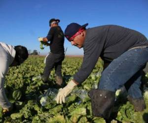 Para los técnicos del FMI, la inmigración puede contribuir a obtener beneficios de largo plazo. Foto: Agencia AFP