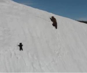 Parece una escena de una película de suspenso. Foto captura Twitter