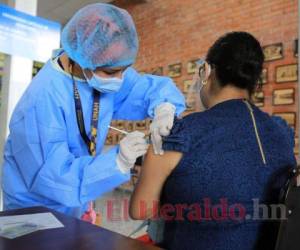 Según autoridades de Salud, en los próximos días Honduras iniciará la sexta campaña de vacunación a nivel nacional. Foto: David Romero / EL HERALDO.