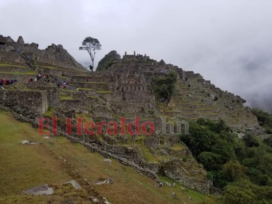 Construida durante la primera mitad del siglo XV, Machu Picchu está dividida en dos grandes zonas: la agrícola que comprende una vasta red de andenes o terrazas artificiales y la urbana formada por diversas construcciones y plazas. Foto: Edras Torres.