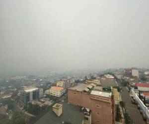 Tras la preocupante capa de humo con la que amaneció Tegucigalpa este lunes, el gobierno decretó que los empleados públicos realicen teletrabajo.