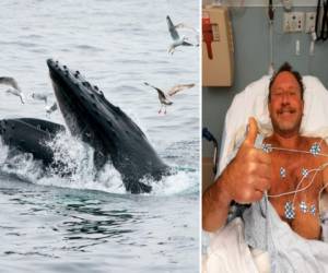 Michael Packard, de 56 años, dijo después de ser dado de alta del Hospital Cape Cod que estaba a unos 14 metros (45 pies) de profundidad en las aguas cerca de la costa de Provincetown cuando “de repente sentí este gran golpe y todo se oscureció”.