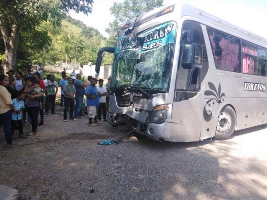 El bus de la ruta San Pedro Sula-Yoro se estrelló en un árbol donde se encontraba la menor.