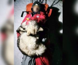 Grga Brkic resultó herido el fin de semana pasado después de caer 150 metros junto con el perro de su primo en la cadena de Velebit. FOTO: AFP