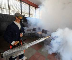 A partir de este martes se llevaron a cabo operativos de fumigación y limpieza en los centros educativos del país.