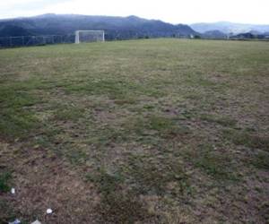 Así se encuentra la cancha uno del Proyecto Gol, con un engramillado que se echó a perder. Un potrero, un lugar donde es imposible de jugar (Fotos: Efraín Salgado/Jimmy Argueta)