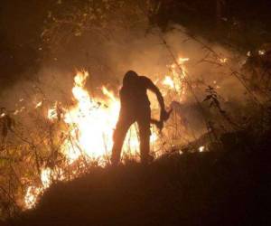 Los bomberos ya tienen cuatro meses en el combate de las infernales llamas para evitar que consuman más del bosque hondureño.