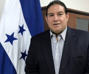 El viceministro de Seguridad de Honduras, Luis Suazo, se refirió este martes al tema de los presuntos pandilleros absueltos por los tribunales de justicia.