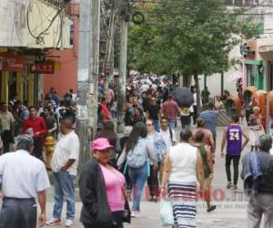 La Constitución de Honduras establece igualdad salarial para hombres y mujeres que realicen las mismas actividades y tengan los mismos horarios, sin discriminacion alguna. Foto: EL HERALDO.