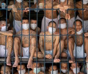 Para desvirtuar lo publicado por El Faro, el gobierno mostró a la prensa el pasado viernes las 'estrictas' condiciones de reclusión de pandilleros. Foto: AFP
