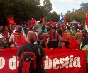 Un grupo de simpatizantes de la Alianza llegó hasta la Universidad Pedagógica en la capital de Honduras en defensa de su candidato Salvador Nasralla. Foto: Alejandro Amador/EL HERALDO