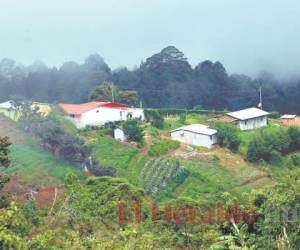 El Parque Nacional La Tigra es un pulmón de la capital. Foto: El Heraldo