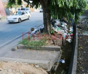 Llena de basura permanece la cuneta de la calle. Foto: Efraín Salgado/EL HERALDO