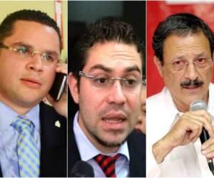 David Guillermo Chávez Madison del Partido Nacional ; Jorge Luis Cálix Espinal de Libre y Mauricio Villeda Bermudez del Partido Liberal.