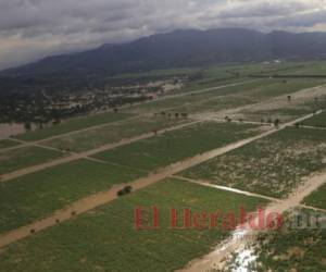 La actividad agropecuaria resultó la más afectada por las tormentas tropicales Eta y Iota. Foto: El Heraldo