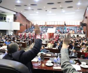 Lo primero que tiene que hacer el Congreso es armonizar las medidas que ya adelantó el Poder Ejecutivo.