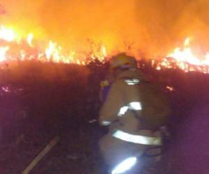 Miembros del cuerpo de Bomberos en labores para extinguir el incendio.