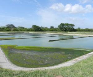 La lagunas de oxidación están en riesgo de destrucción por lluvias .