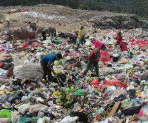 Una 100 mil libras de basura se manejan a diario.