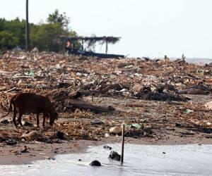 Las playas de Omoa se llenan de desechos a pesar de ser limpiadas a diario por los negocios que hasta deben presupuestar la acción.