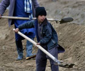 Un niño trabaja con su padre en un campo en el distrito Zhari de Kandahar, el 17 de enero de 2022. Foto: AFP