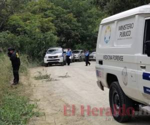 El fuerte olor alertó a personas que transitan por el lugar sobre la presencia de un cadáver. Fotos: Alex Pérez/El Heraldo.