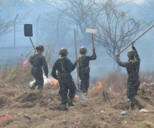 Durante el mes de enero se quemaron 699 hectáreas en Choluteca.