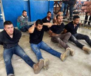Algunos de los detenidos por su presunta participación en el magnicidio. Foto: AP