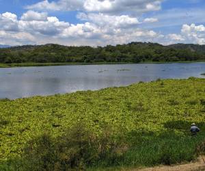 Para el desarrollo de la Laguna Jucutuma, es vital proyectos de microempresas de ecoturismo como guías para avistamiento de aves y paseos en kayak.