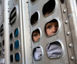 Los niños fueron transportados en contenedores para ganado. Foto: Agencia AP