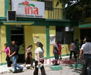 Los trabajadores del Instituto Nacional Agrario realizaron un mitin esta semana para mandar un mensaje de alerta a las autoridades. Foto: EL HERALDO